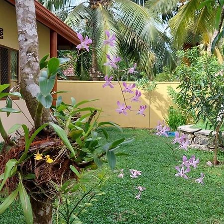El-Nivasa Villa In Weligama Exteriér fotografie