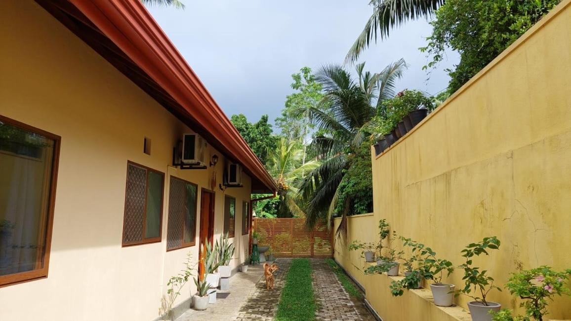 El-Nivasa Villa In Weligama Exteriér fotografie