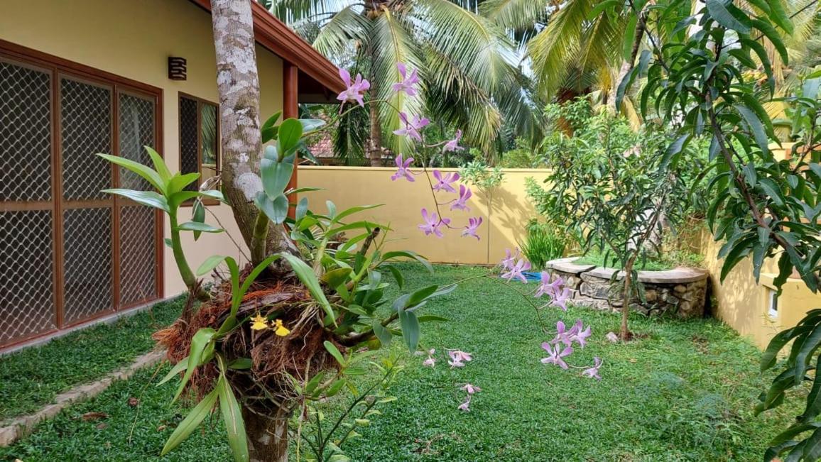 El-Nivasa Villa In Weligama Exteriér fotografie